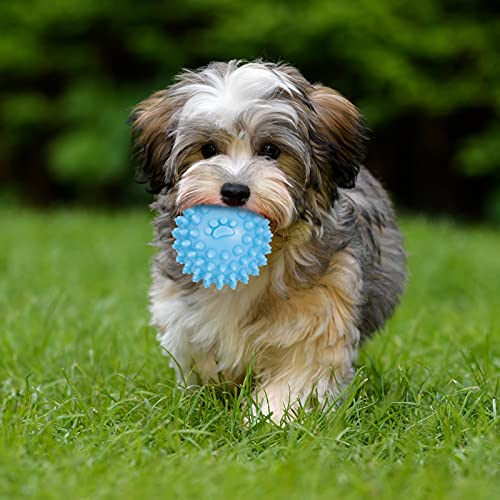 tao pipe Kauspielzeug-Set für Welpen, mit Ball und Baumwollseilen, interaktives Spielzeug für kleine Welpen und mittelgroße Hunde, 7-teilig