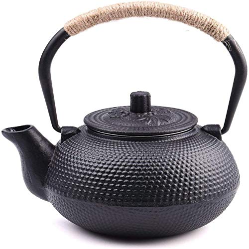 suyika Tetsubin Cast Iron Teapot