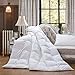 Luxurious Heavy King/California King Siberian Goose Down Comforter All-Season Duvet Insert, Premium Baffle Box, 1200 Thread Count 100% Egyptian Cotton, 75 oz Fill Weight, White Damask Stripe