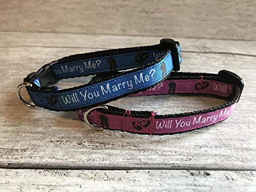 proposal dog collar