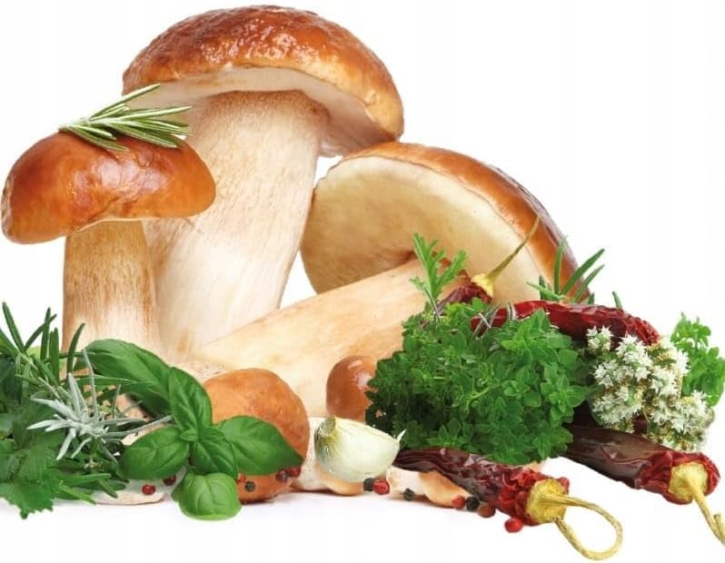 Fresh mushrooms, herbs, and spices ready for dehydration