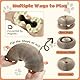 Nobleza 2 Pack Magic Organ Katzen Kratzbretter, 2-in-1 Cat Kratzbrett mit Glöckchen, Foldable Convenient Cat Scratcher Durable Recyclable, Katzenspielzeug Intelligenz Intelligenzspielzeug, 11*10*6.8CM