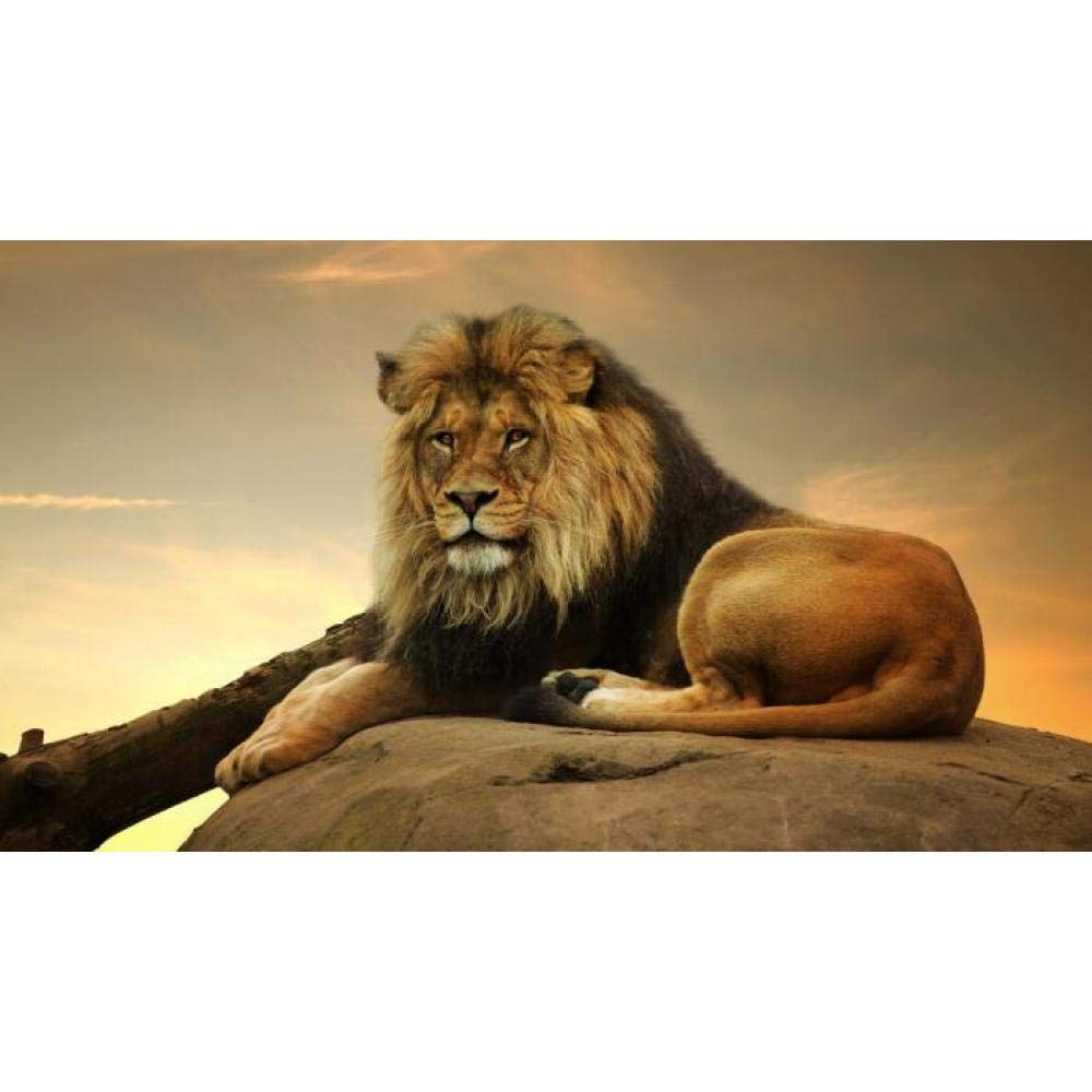 CXIANG Modern Animal Posters And Prints Wall Art Canvas Painting Lion Wall Pictures For Living Room Home Decoration Frameless