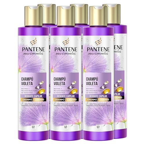 Pantene Pro-V Miracles Violeta Champú Reparador con Biotina y Keratina 250ml x6 Atenúa los Tonos Amarillos y Recupera la Fuerza del Cabello Decolorado, con Mechas o muy Tratado