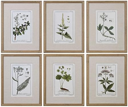 Uttermost 33651 Green Floral Botanical Study Framed Prints - 6-Piece Wall Art Set