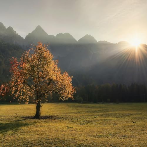 Looking to Jesus in the Midst of Change