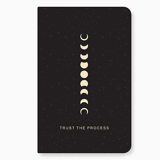 FACTOR NOTES A5 Notebook: Ruled | 90 GSM | 160 Pages (Trust the process)