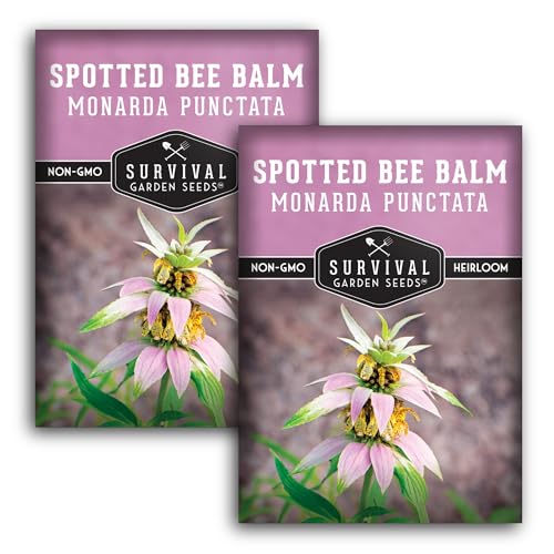 Survival Garden Seeds - Spotted Bee Balm Seed for Planting