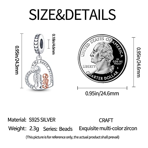 LNQOBU Family Love Mother Daughter Charm 925 Sterling Silver fits Bracelets Necklace Pendant Bead Charms Jewelry Gift for Women Family Friends4