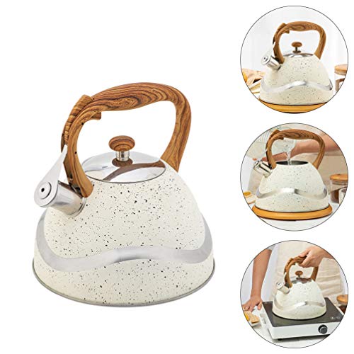 1 Unidade Chaleira Fogão De Acampamento Fogões De Acampamento Fogão a Gás Portátil Cofre Portátil Gr