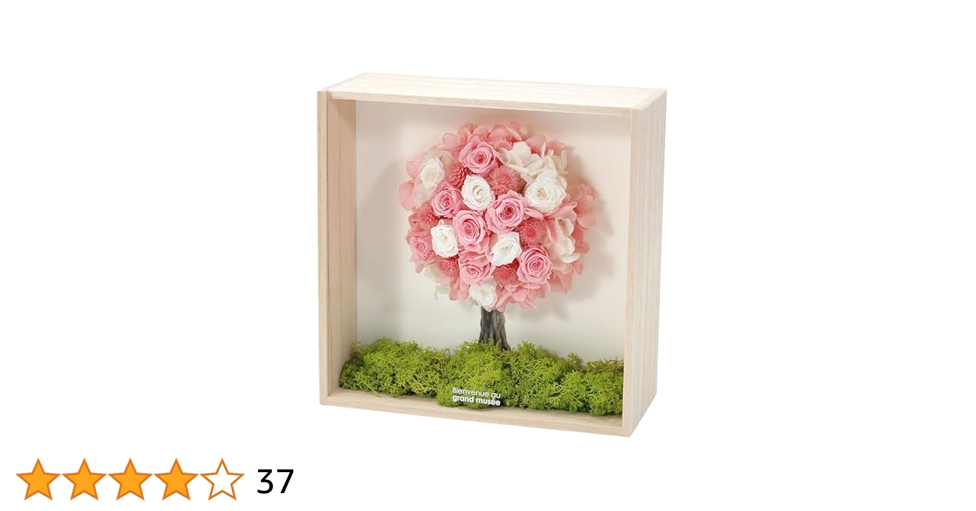 Amazon｜grand musee プリザーブドフラワー TOPIARY トピアリー