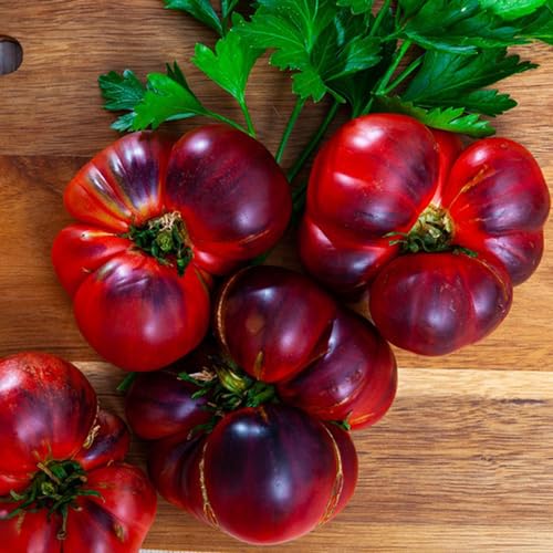 semillas de tomate variedades antiguas   Decoración oficina reliquias extremadamente resistentes 50pcs