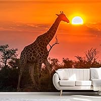 Wall Mural Giraffe and Sunset Removable Self-Adhesive Wallpaper Wall Decoration for Bedroom Living Room - 66x96 inches