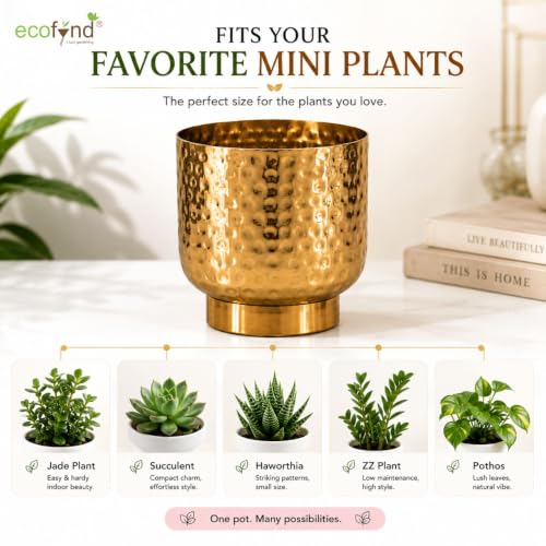 Image of ecofynd 2 Pack Metal Plant Pots (7 inch, 5.5 inch), Indoor Small Planter Flower Pots, Home Garden Decor Planter for Living Room Bedroom Interior (Gold Finish, POT054)