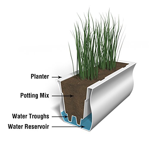 Mayne 5871-B Polyethylene Window Box, Black #TOP3