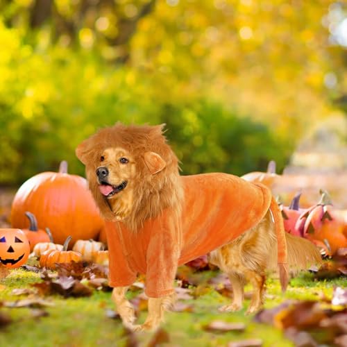 Disfraz de León para Perro NACOCO Talla 3XL miniatura 6