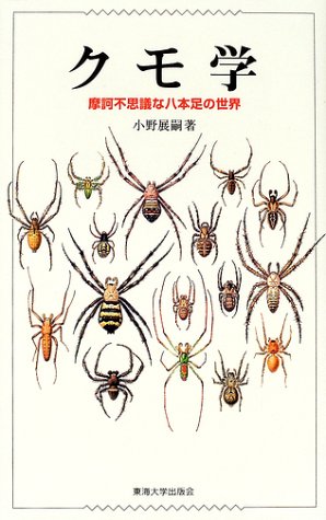 クモ学 摩訶不思議な八本足の世界 小野 展嗣 本 通販 Amazon