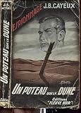 Un poteau sur la dune