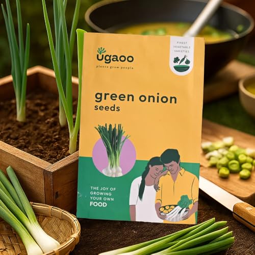 Image of UGAOO Vegetable Seeds Combo for Home Garden - Cherry Tomato, Broccoli, red capsicum, green Onion, green cucumber - Pack of 5