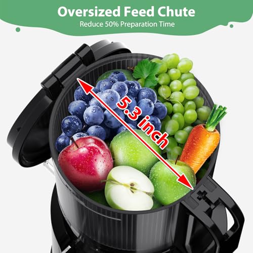 image for Juicer Machines, Aeitto Cold Press Juicer with 5.3
