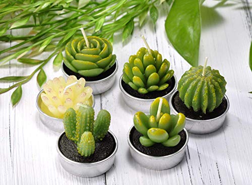 Cactus Tea Lights Candles, Terrarium Candle Gift Set For Mothers Day Valentines Day Gifts, Smokeless Handmade Cute Gifts Candles For Home Scented Birthday Wedding Props House Warming Party (12 Packs) #TOP3