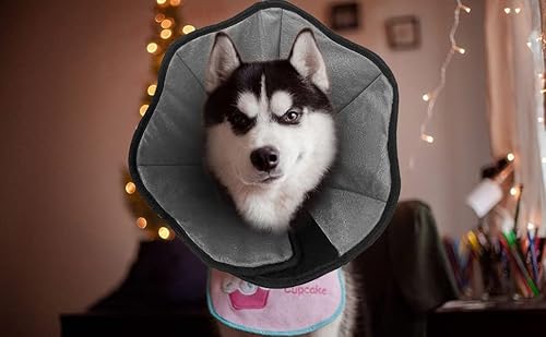 Dog Cone Collar For After Surgery, Soft Pet Recovery Collar For Dogs & Cats, Comfort Cone Collar Protective Collar For Large Medium Small Dogs, With Interior Made Of Comfortable Plush Material L #TOP6