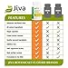 Jiva Botanicals Chanca Piedra Supplement - 550 mg per Serving - 500mg Extract with 50mg Queen of The Meadow - 2 Months Supply