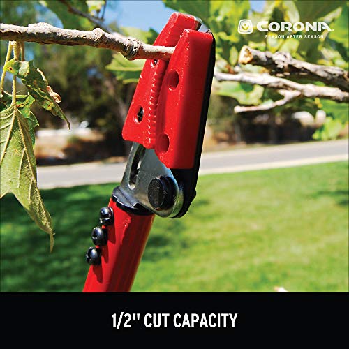 Corona LR 3460 Long Reach Cut 'n' Hold Pruner, 46-Inch, Red
