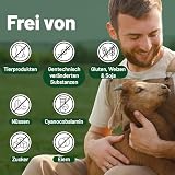 Vegan Multivitamin Tabletten hochdosiert - Vitamin b12 vegan & Eisen. 180 Multivitamin Tabletten Nahrungsergänzungsmittel - 6 Monate Vegan & Vegetarier - Alle Vitamine in einer Tablette