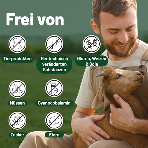 Vegan Multivitamin Tabletten hochdosiert - Vitamin b12 vegan & Eisen. 180 Multivitamin Tabletten Nahrungsergänzungsmittel - 6 Monate Vegan & Vegetarier - Alle Vitamine in einer Tablette