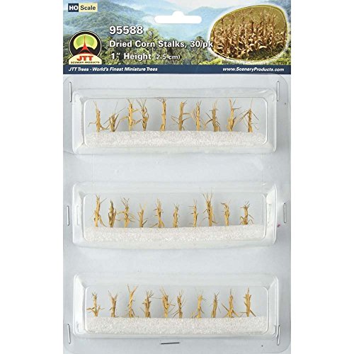 Dried Corn Stalks HO (30)