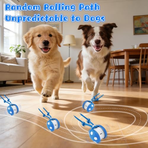 Pipihome Interaktives Hundespielzeug, Interaktiver Spielball für Hunde, Hundespielzeug Intelligenz Hundeball mit Schwanz, Hunde Ball Dog Toys für Hunde Kleine, Mittlere, Große