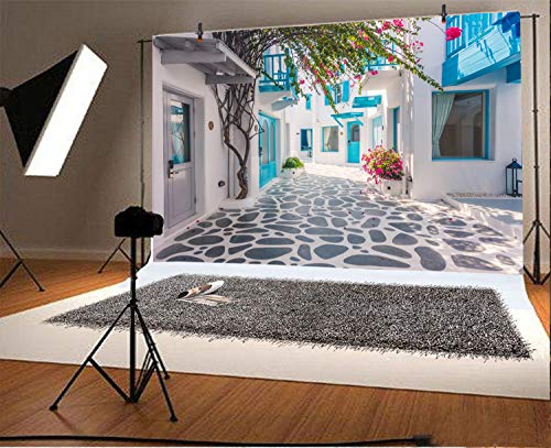 Leyiyi 10X6.5Ft Photography Backdrop Greece Street Background Italian City View Greece Down Town Mediterranean Style Architecture 3D Wedding Ceremony European Travel Photo Portrait Vinyl Studio Prop #TOP1