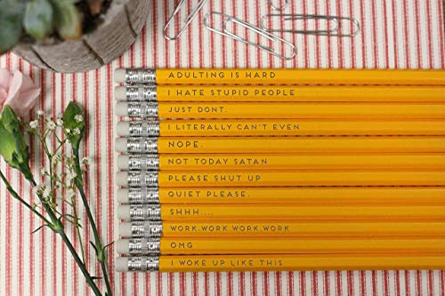 Funny Adult Sassy Sayings Pencil's For Students Gifts