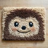 DIY Latch Hook Rug Kit Cute...