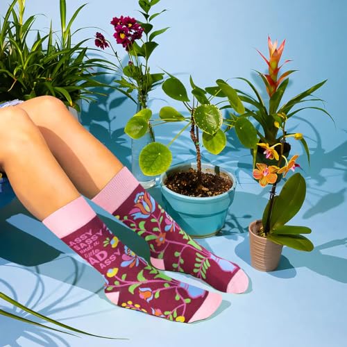 Image of Funny Socks for Women and Teenage Girls, Cute Crazy Unique Novelty Gifts | Gifts for Valentines Birthdays Easter Mothers Day Christmas Stocking Stuffers