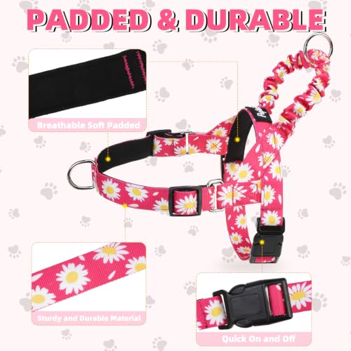 Image of PUPTECK No Pull Dog Harness Small Sized Dog, Adjustable Reflective Pet Vest Harness with Bungee Handle, Escape Proof No Choke Harness for Small Dogs Walking Training, Fuschia Daisy S