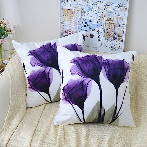 Home Page - Paul - Cosy Home Interiors