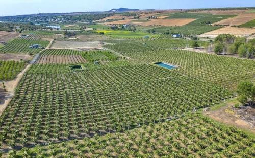 B&aacute;n dự &aacute;n đất Bắc B&igrave;nh Farmstay B&igrave;nh Thuận gi&aacute; CĐT