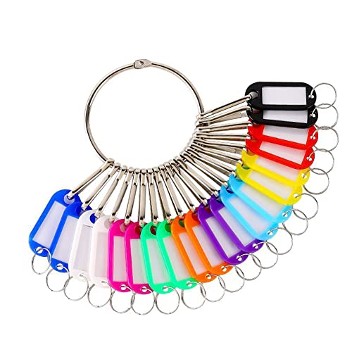 Metal Ring Key Organizer Holder with 20 Key Tags and Spring Hooks Landlord Key Organizer Manager Janitor Key Holder for Warehouse Office School Home, Random