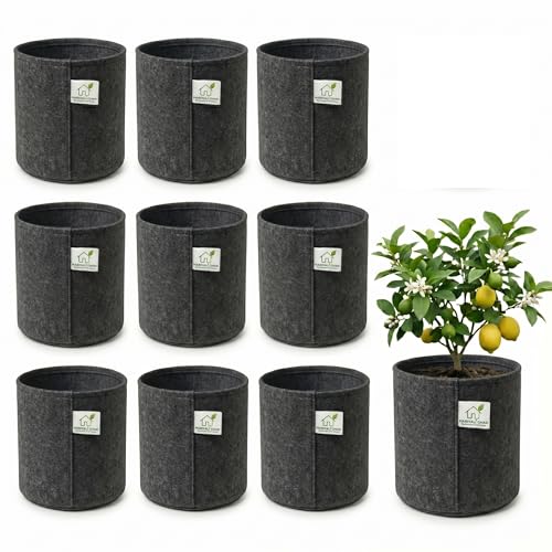 Image of 400 GSM Geo Fabric Round Grow Bags 24x24 Inch, Dark Grey Planting Bags for Terrace and Kitchen Gardening Pack of 10