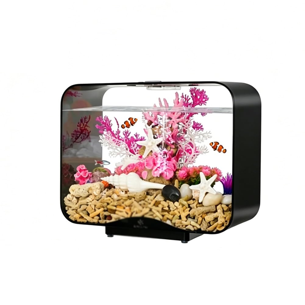 Piccolo acquario da tavolo in acrilico
