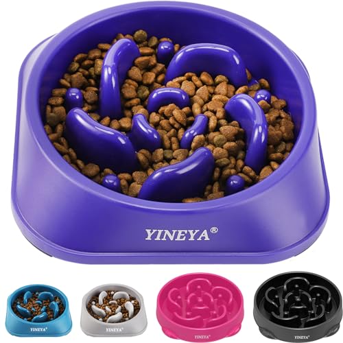 Slow Feeder Dog Bowls Large Breed, Dog Slow Feeder Bowl, Dog Food Bowls Slow Feeder, Dog Bowl Slow Feeder, Dog Bowl That Slow Down Eating(Purple) Slow Feeder Dog Bowls Large Breed, Dog Slow Feeder Bowl, Dog Food Bowls Slow Feeder, Dog Bowl Slow Feeder, Dog Bowl That Slow Down Eating(Purple)