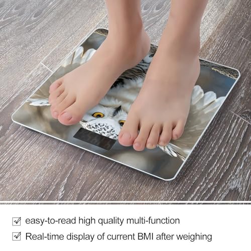 Báscula digital para baño Snow Owl con pantalla LCD miniatura 5