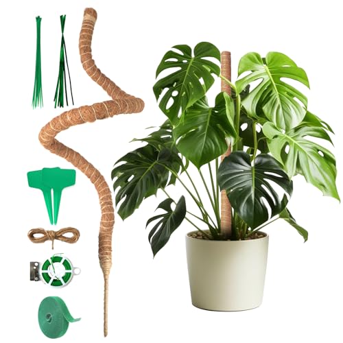 Monstera - Varilla de musgo flexible para monstera de fibra de coco, 120 cm, incluye accesorios y soporte para plantas trepadoras en interiores