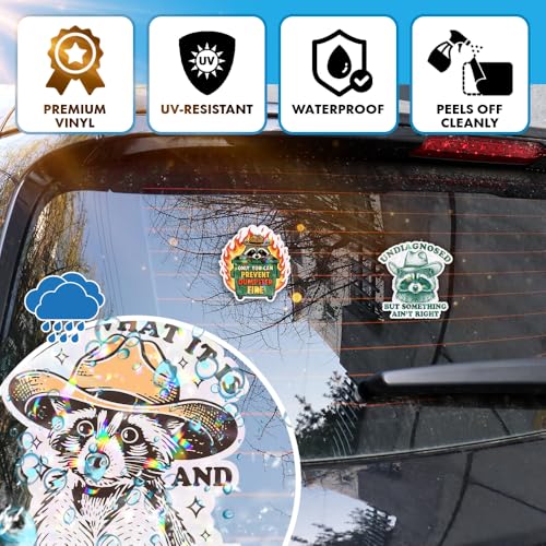Image of VOTANTA (3 Pcs, 3 inch) - Funny Raccoon Holographic Stickers, Undiagnosed But Something Ain't Right Meme Sticker, Only You Can Prevent Dumpster Fire Decal Decoration for Laptops, Phones, Bottles