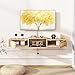 IBUYKE Modern Rattan Floating TV Stand with Doors,Wall Mounted TV Shelf for TVs up to 55 Inches,Media Console Entertainment Center for Under TV Storage Cabinet for Living Room Bedroom,Natural UWST012N