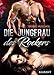 Die Jungfrau des Rockers (Black Aces Motorcycle Club 2)