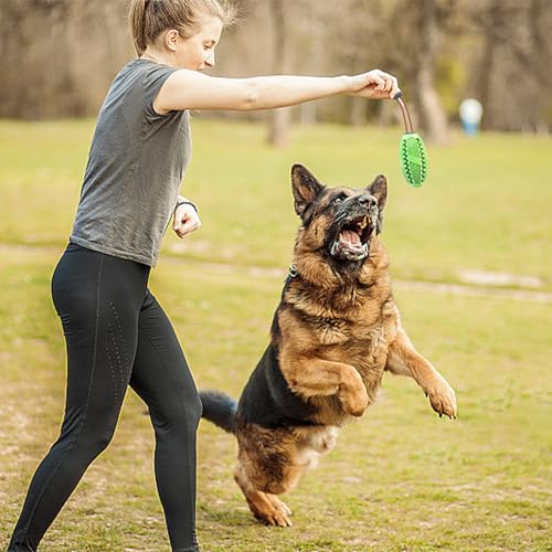 agogue Hundespielzeug Unzerstörbar, Starker Naturkautschuk Hundespielzeug Kleine Hunde, Zahnpflege Kauspielzeug Hund Unzerstörbar für Klein Mittel und Großhündchen Kauen