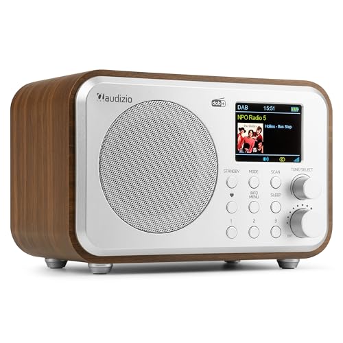 Audizio Milan Radio Dab+/FM Portable avec Bluetooth, Écran Couleur 2,4